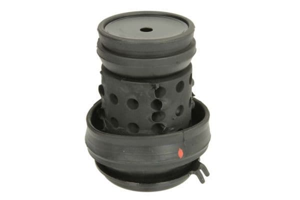 Suport motor REINHOCH RH11-0019
