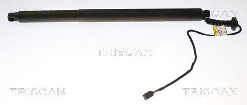 Amortizor portbagaj TRISCAN 8710 27303