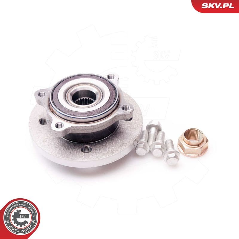 Set rulment roata ESEN SKV 29SKV045
