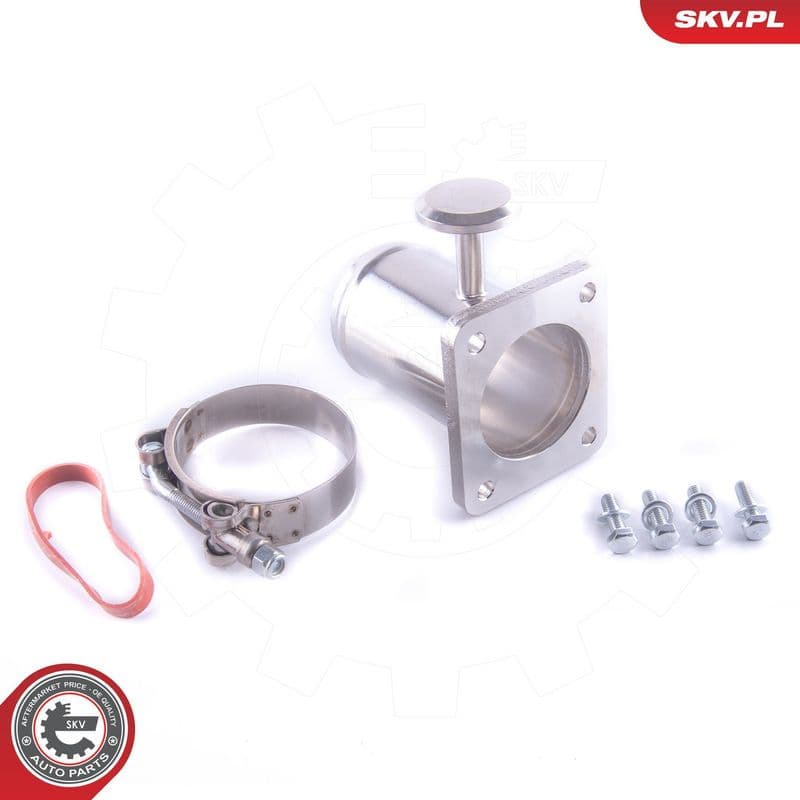 Set de reparație, supapă AGR ESEN SKV 14SKV579