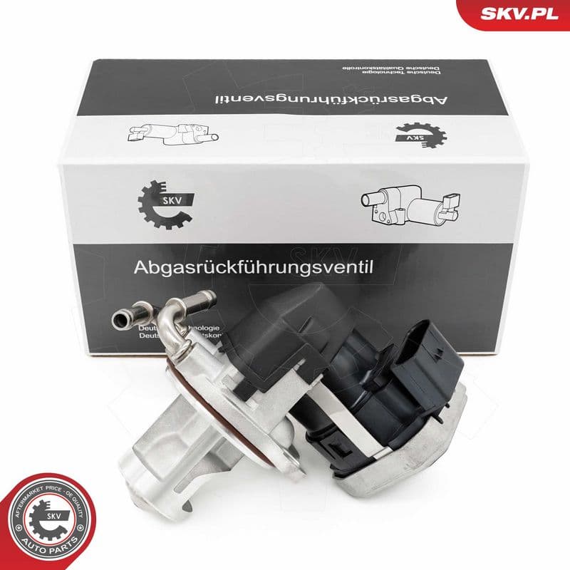 Supapa EGR ESEN SKV 14SKV255