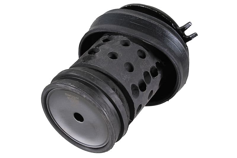 Suport motor METZGER AUTOTEILE 8050838