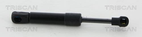 Amortizor capota TRISCAN 8710 20210