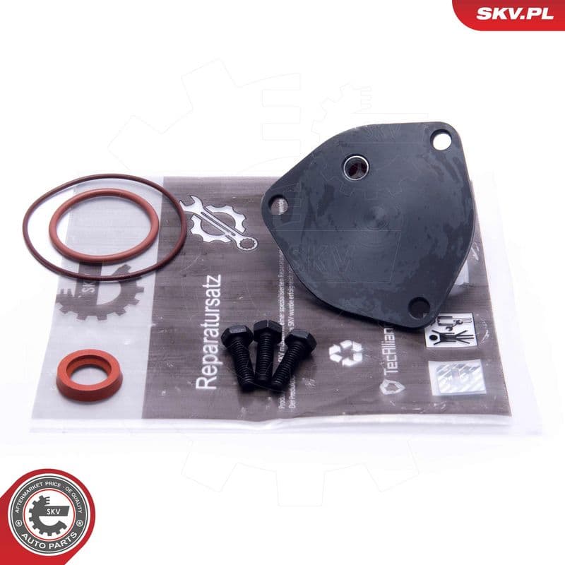 Set reparatie, pompa vacuum (Siste frana) ESEN SKV 18SKV800