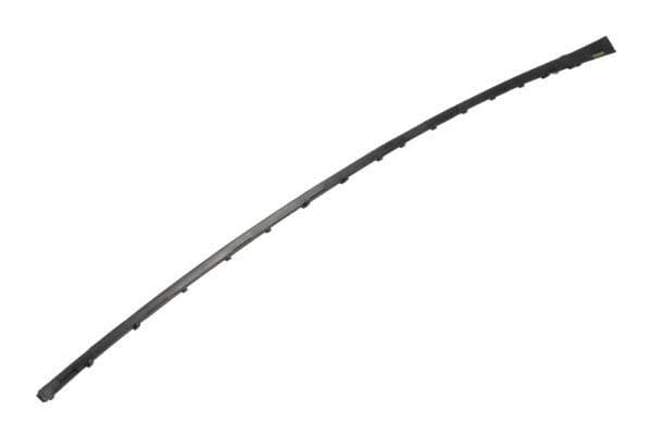 Elemente decorative/protectie, parbriz BLIC 5703-04-6037362Q