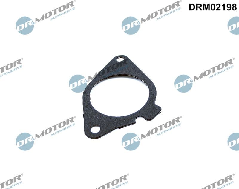 Garnitura, ventil AGR Dr.Motor Automotive DRM02198