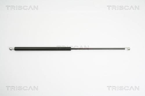 Amortizor portbagaj TRISCAN 8710 16247