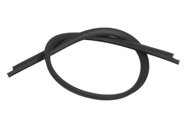 Elemente decorative/protectie, parbriz BLIC 5703-04-6037693Q