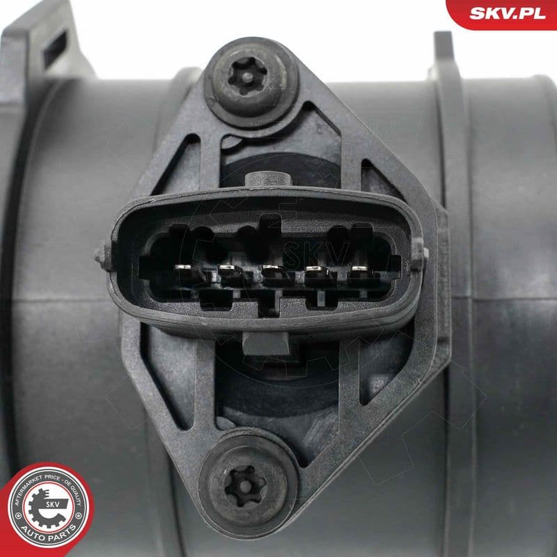 senzor debit aer ESEN SKV 07SKV311
