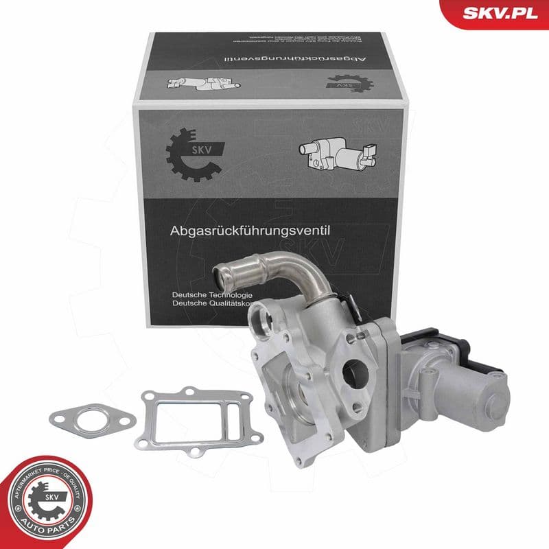 Supapa EGR ESEN SKV 14SKV323