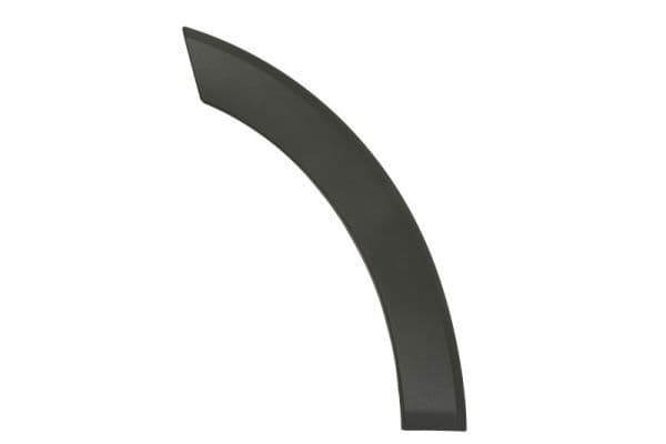 Elemente decorative/protectie, portiera BLIC 6601-02-2518423P