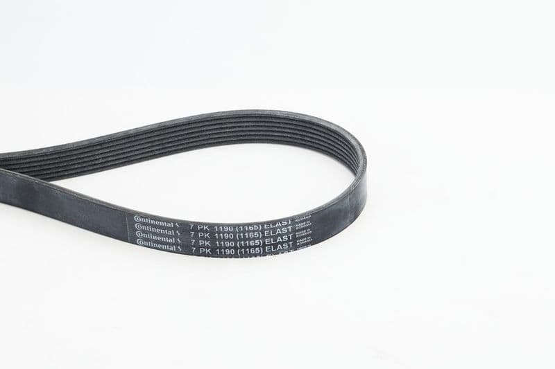 Curea transmisie cu caneluri CONTINENTAL CTAM 7PK1190 ELAST