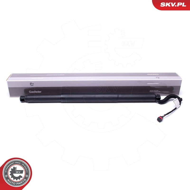 Motor electric, haion ESEN SKV 52SKV904