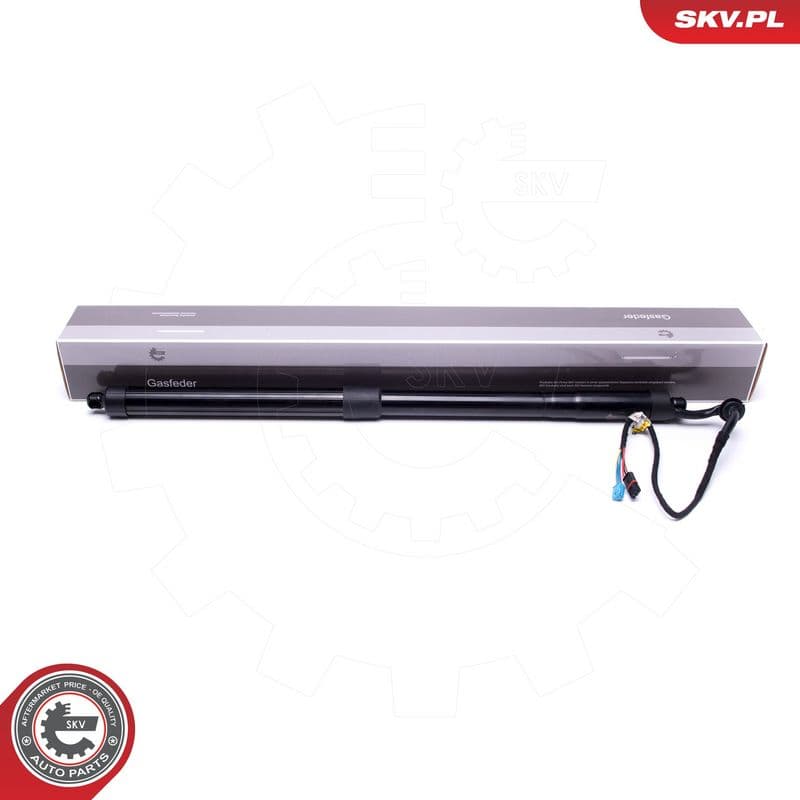 Motor electric, haion ESEN SKV 52SKV906