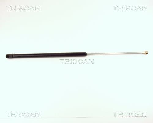 Amortizor portbagaj TRISCAN 8710 16213