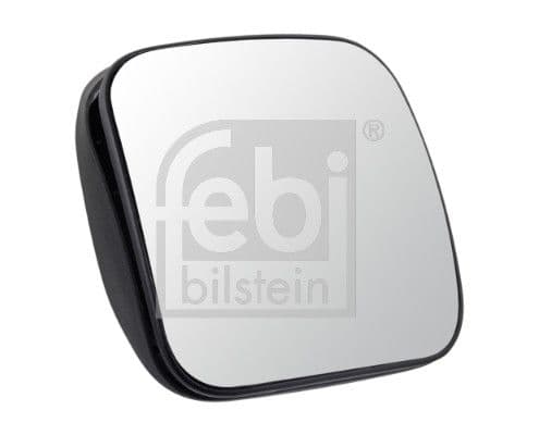 Oglinda unghi indepartat FEBI BILSTEIN 100019