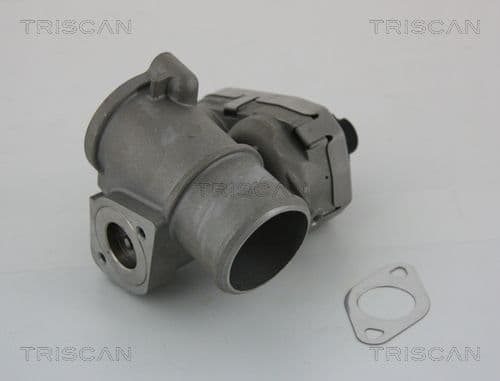 Supapa EGR TRISCAN 8813 16101