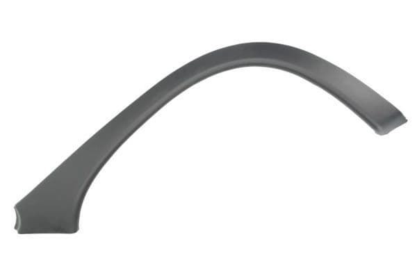 Elemente decorative/protectie, aripa BLIC 5703-04-5022596Q