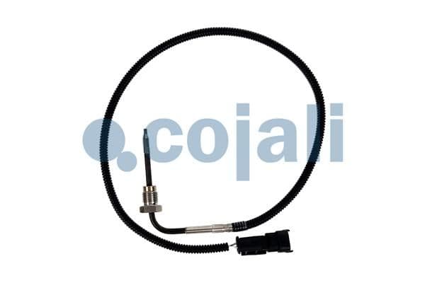 Senzor, temperatura gaze evacuare COJALI 2263041