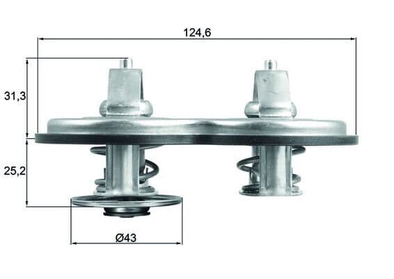 termostat,lichid racire MAHLE BEHR TX 141 83