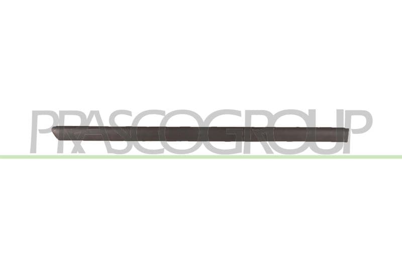 Elemente decorative/protectie, portiera PRASCO VG0521453