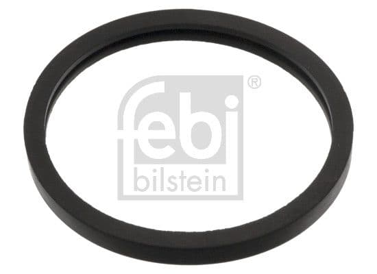 Garnitura termostat FEBI BILSTEIN 05156