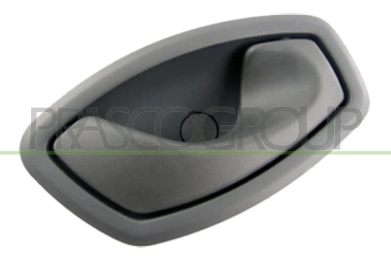 Mâner usa, echipare interioara PRASCO RN0868601