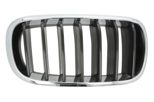 Grila radiator BLIC 6502-07-00969922P
