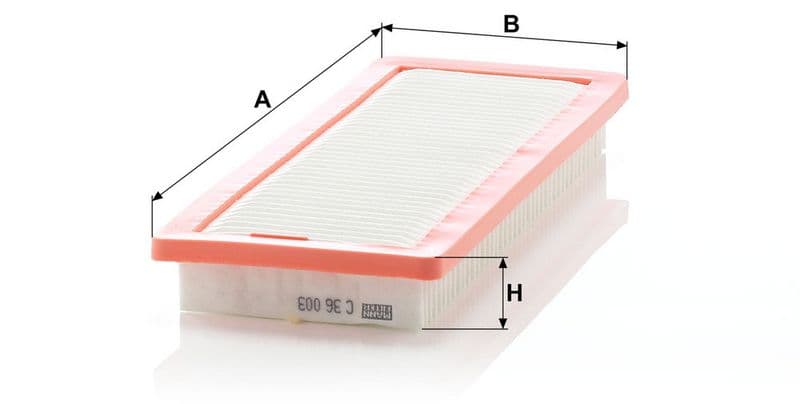 Filtru aer MANN-FILTER C 36 003