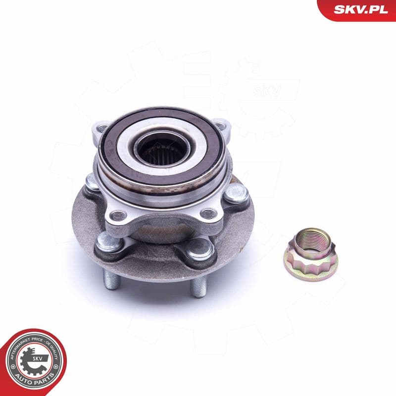 Set rulment roata ESEN SKV 29SKV255