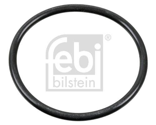 Garnitură de etanșare, reglarea arborelui cu came FEBI BILSTEIN 100165