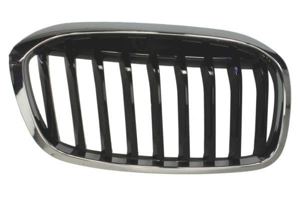 Grila radiator BLIC 6502-07-0071992P