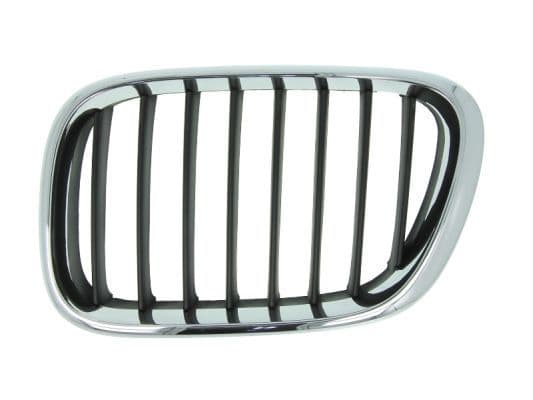 Grila radiator BLIC 6502-07-0095993P