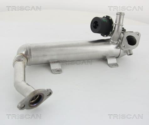 Radiator, recirculare gaze de esapament TRISCAN 8813 29319