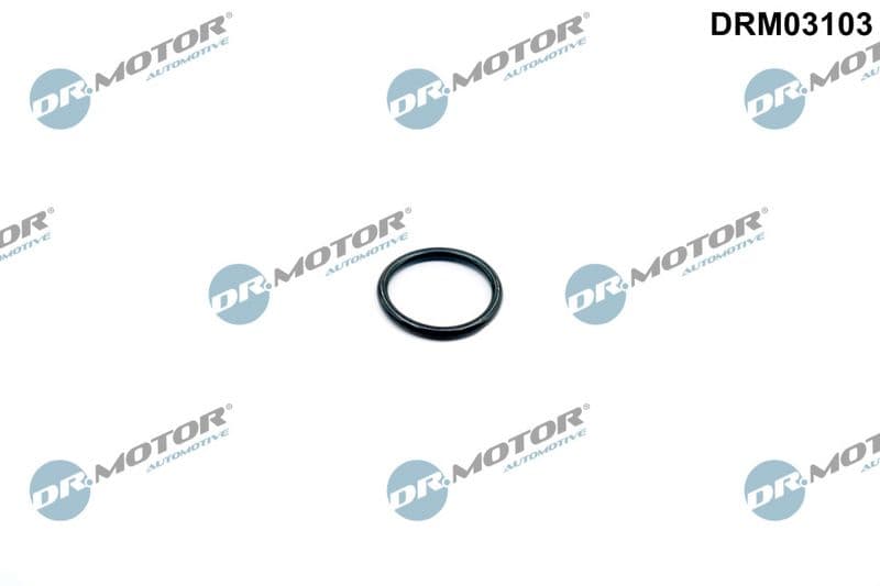 Garnitura, carcasa termostat Dr.Motor Automotive DRM03103