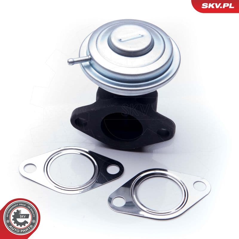 Supapa EGR ESEN SKV 14SKV183