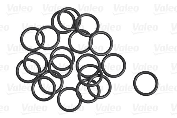 garnitura,conducta lichid de racire VALEO 509305