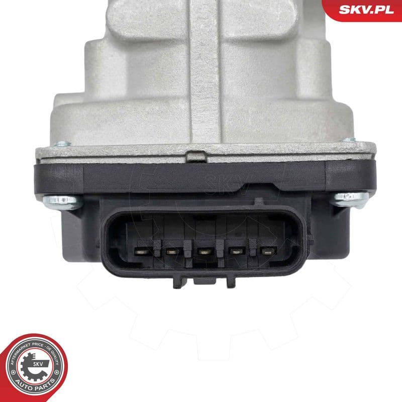 Supapa EGR ESEN SKV 14SKV294