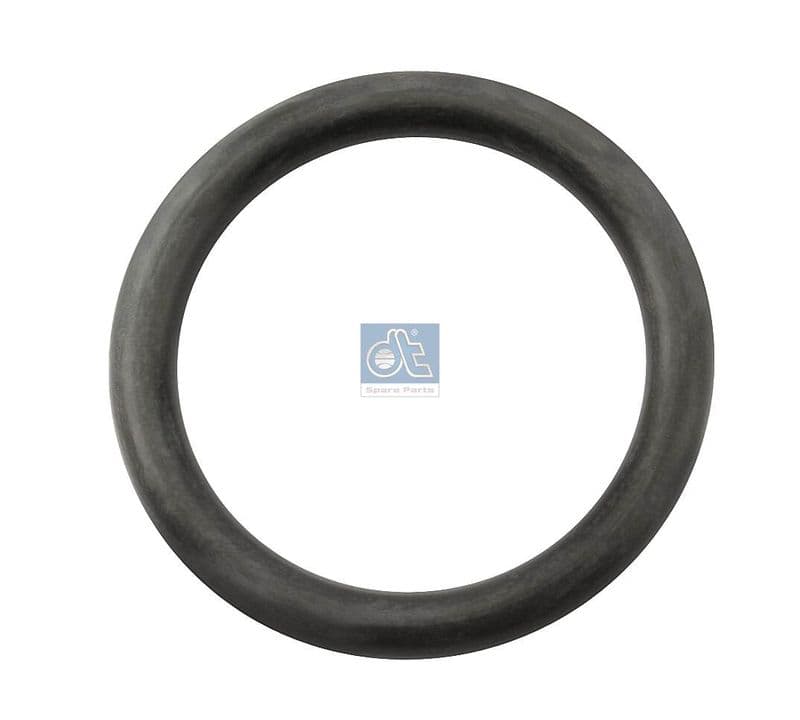 inel de etansare,saboti frana DT Spare Parts 4.20300