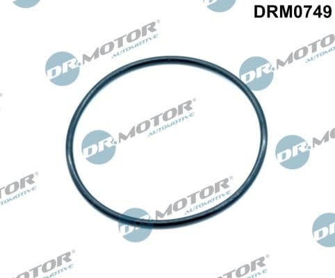 Garnitura, ventil AGR Dr.Motor Automotive DRM0749