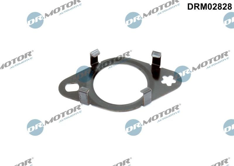 Garnitura, conducta supapa-AGR Dr.Motor Automotive DRM02828