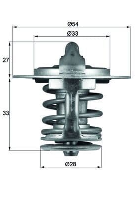 termostat,lichid racire MAHLE BEHR TX 84 77