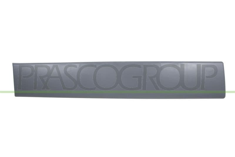 Elemente decorative/protectie, portiera PRASCO DS9521453
