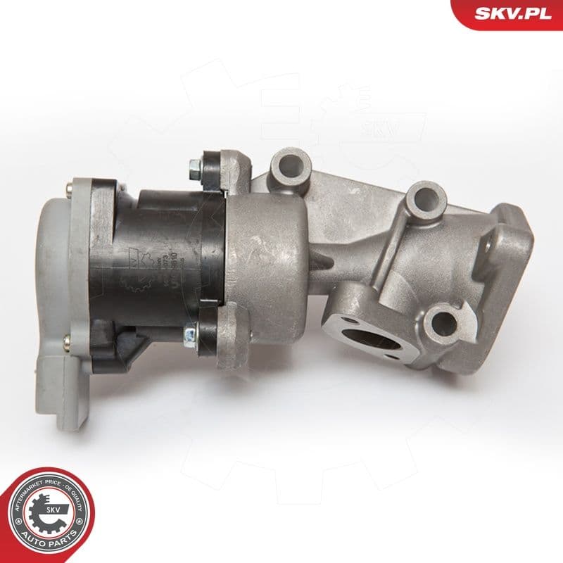Supapa EGR ESEN SKV 14SKV073