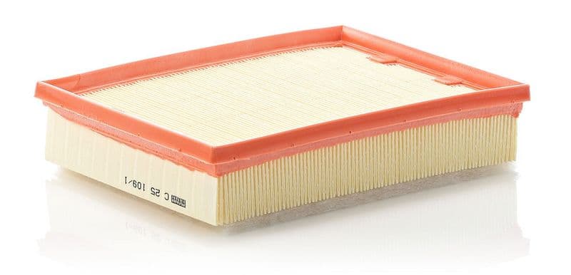 Filtru aer MANN-FILTER C 25 109/1