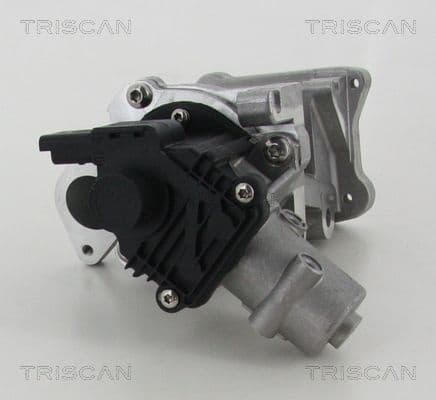 Supapa EGR TRISCAN 8813 10007