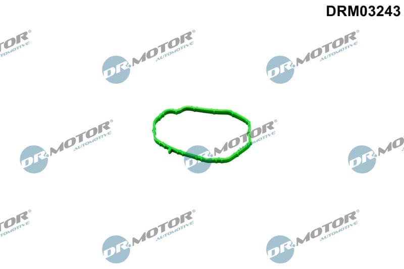 Garnitura, carcasa termostat Dr.Motor Automotive DRM03243