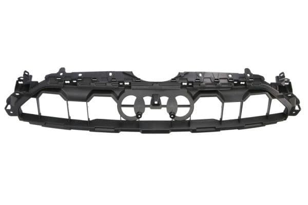 Banda de protectie, grila radiator BLIC 6502-07-0038989P