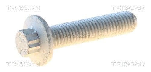 Bolturi fixare, brat suspensie TRISCAN 8501 0541