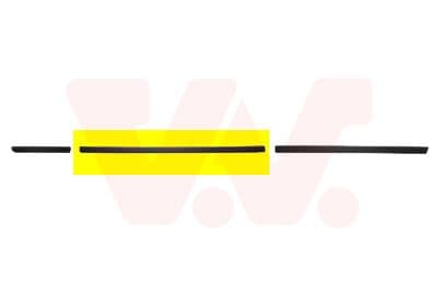 Elemente decorative/protectie, portiera VAN WEZEL 0646423